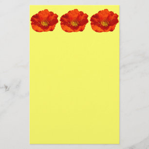 Alaska Red Poppy Colorful Flower Brevpapper