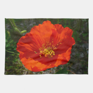 Alaska Red Poppy Colorful Flower Kökshandduk