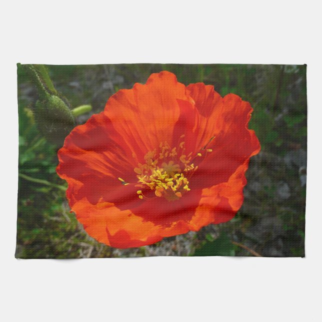 Alaska Red Poppy Colorful Flower Kökshandduk (Horisontell)