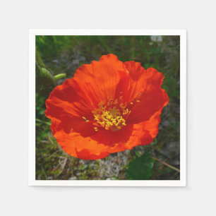 Alaska Red Poppy Colorful Flower Pappersservett