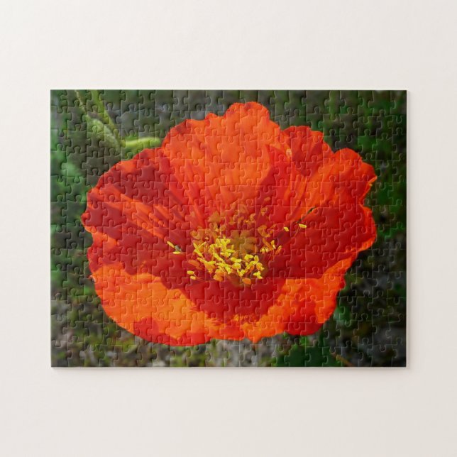 Alaska Red Poppy Colorful Flower Pussel (Horisontell)
