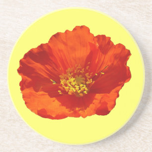 Alaska Red Poppy Colorful Flower Underlägg Sandsten