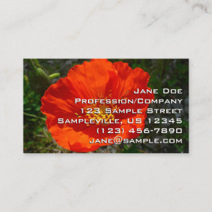 Alaska Red Poppy Colorful Flower Visitkort