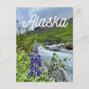 Alaska River Flower vycard Vykort