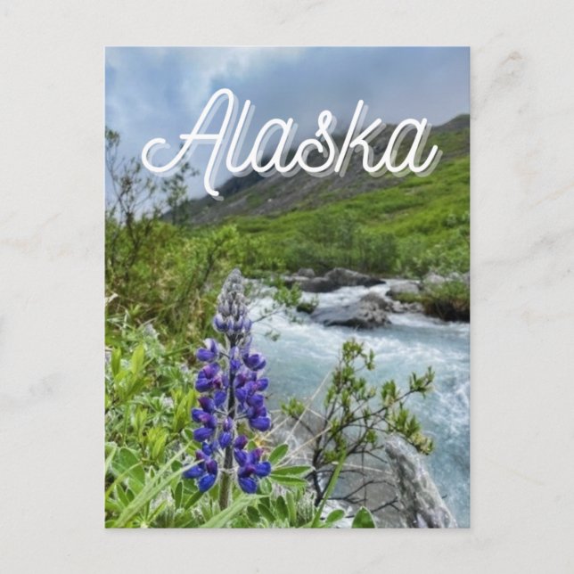 Alaska River Flower vycard Vykort (Framsida)