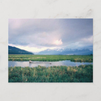 Alaska Sanctuary Vykort