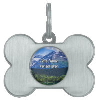 Alaska Scenia Byway Mountain Pet ID-tagg