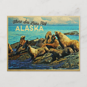 Alaska Sea Lejon Vykort