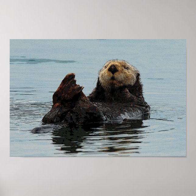 Alaska Sea Otter Poster (Framsidan)
