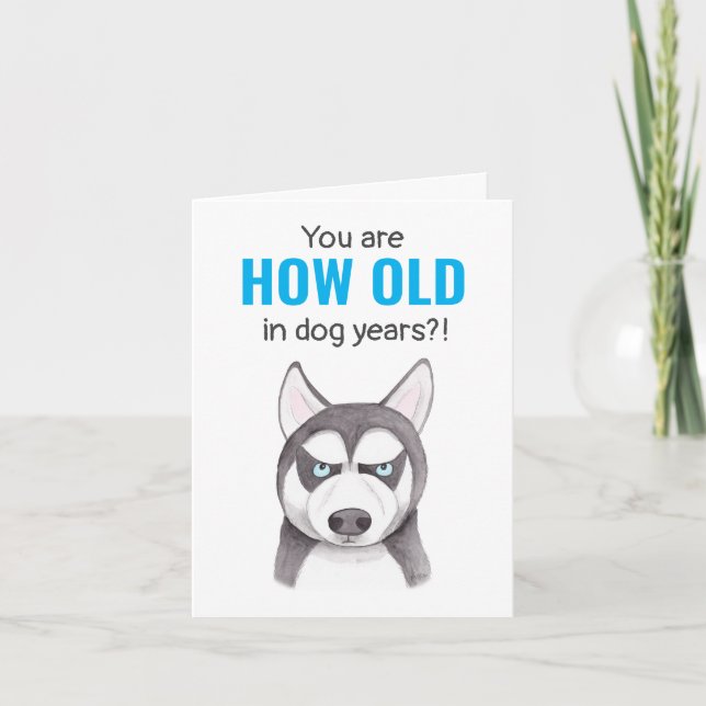 Alaska Siberian husky Rolig hund Älskare Kort (Framsida)
