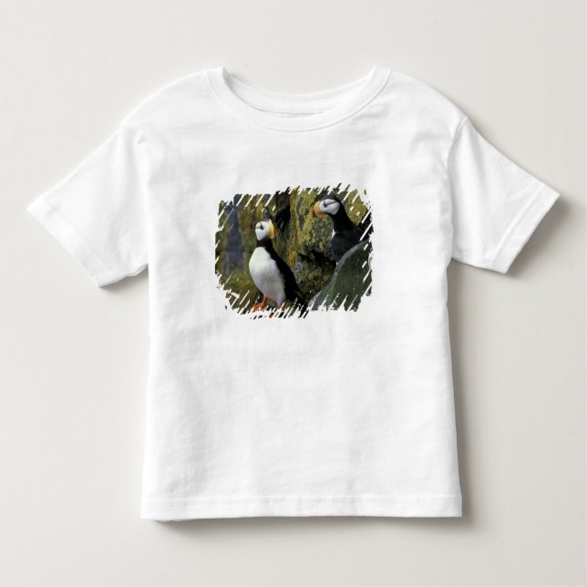 Alaska, St. Paul Island, Pribilofs, horned Tee Shirt (Framsida)