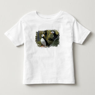 Alaska, St. Paul-ön, Pribiloföarna, tofs Tee Shirt