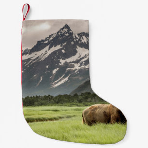 Alaska stränder, grizzlybjörn liten julstrumpa