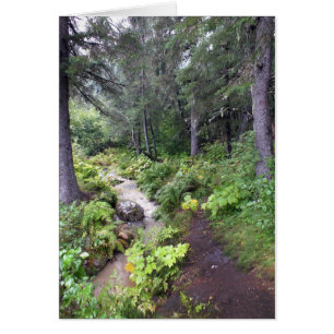 Alaska Stream Hälsningskort