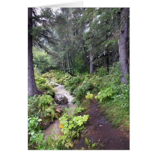 Alaska Stream Hälsningskort (Framsidan)