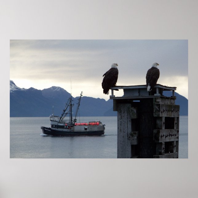 "Alaska Sunset" Poster (Framsidan)