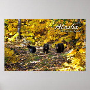 Alaska the Väg Less Traveled Poster