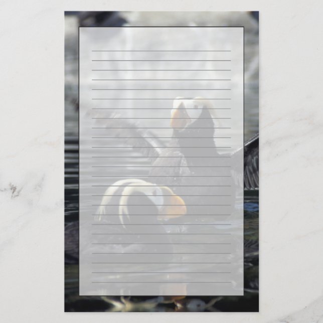 Alaska toppluffar brevpapper (Framsida)