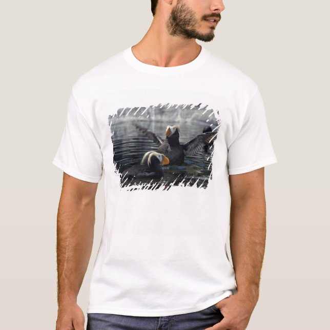 Alaska Tufts puffins T Shirt (Framsida)