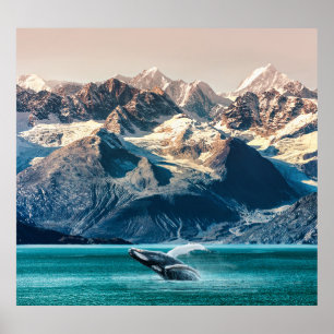 Alaska val: båtutflykt. poster
