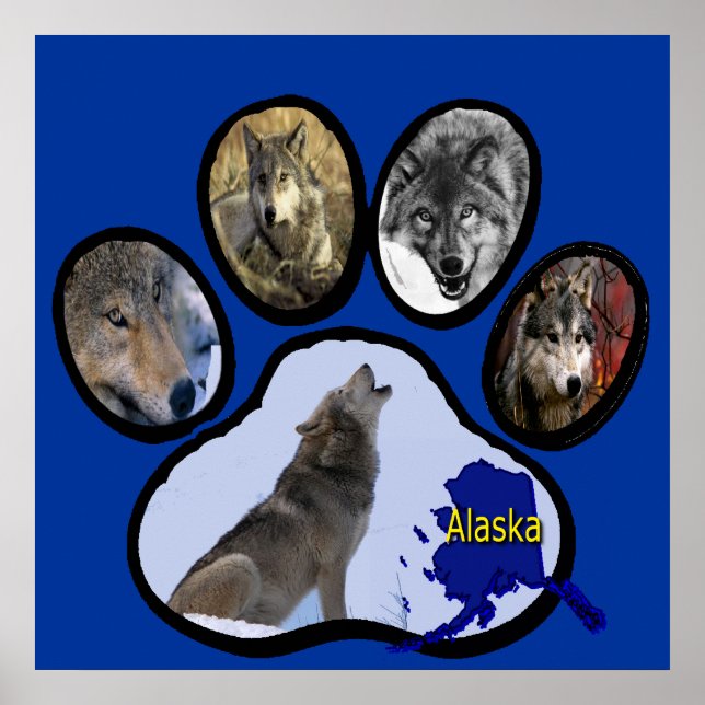 Alaska Varg Paw Skriv ut Poster (Framsidan)