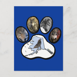 Alaska Varg Tass Vykort
