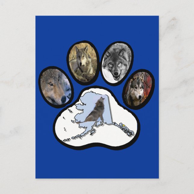 Alaska Varg Tass Vykort (Framsida)