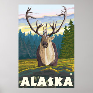 Alaska - Västindien i Vilden Poster