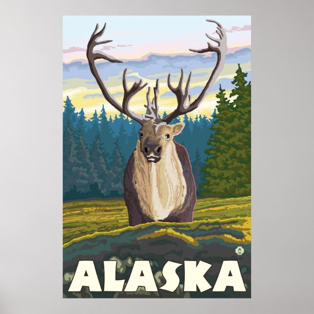 Alaska - Västindien i Vilden Poster (Framsidan)