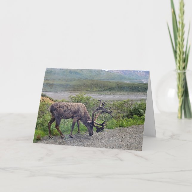 Alaska - Västindiou 1 Inbjudan (Framsida)