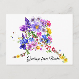 Alaska Vildblommor Lyckönskningskort Vykort