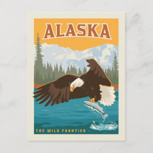 Alaska Vilden Frontier - Eagle Vykort
