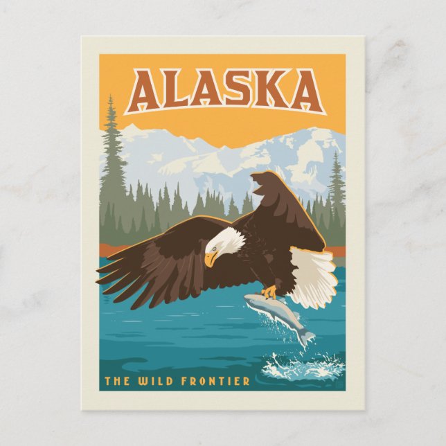 Alaska | Vilden Frontier - Eagle Vykort (Framsida)