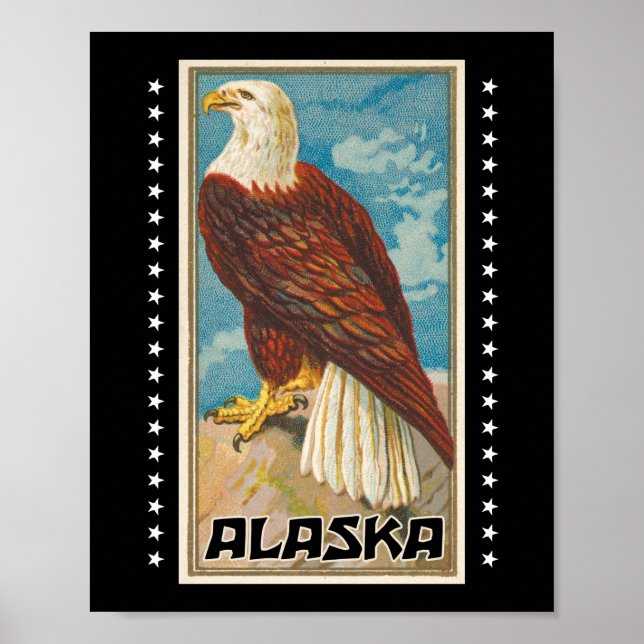 Alaska - Vintage Örn Poster (Framsidan)