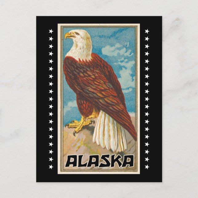 Alaska - Vintage Örn Vykort (Framsida)