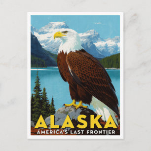 Alaska Vitörnad Örn Sista Fronten Konst Vykort