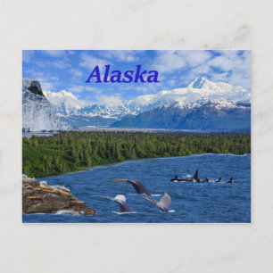 Alaska Vykort
