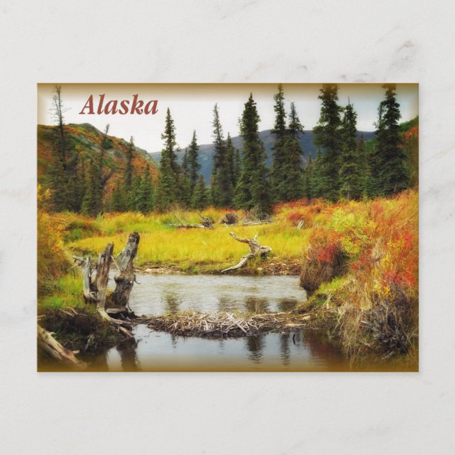 Alaska Vykort (Framsida)