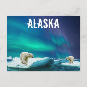 Alaska-vykort med Polar Bears Aurora Borealis Vykort