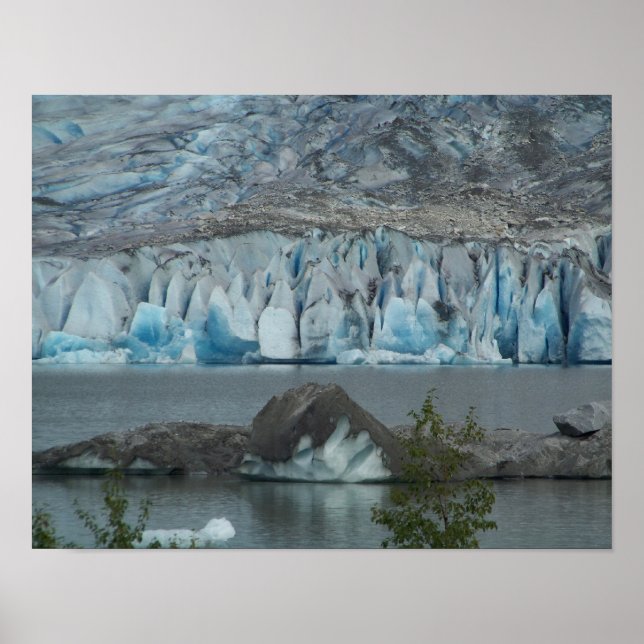 Alaska Wilderness Poster Skriv ut (Framsidan)