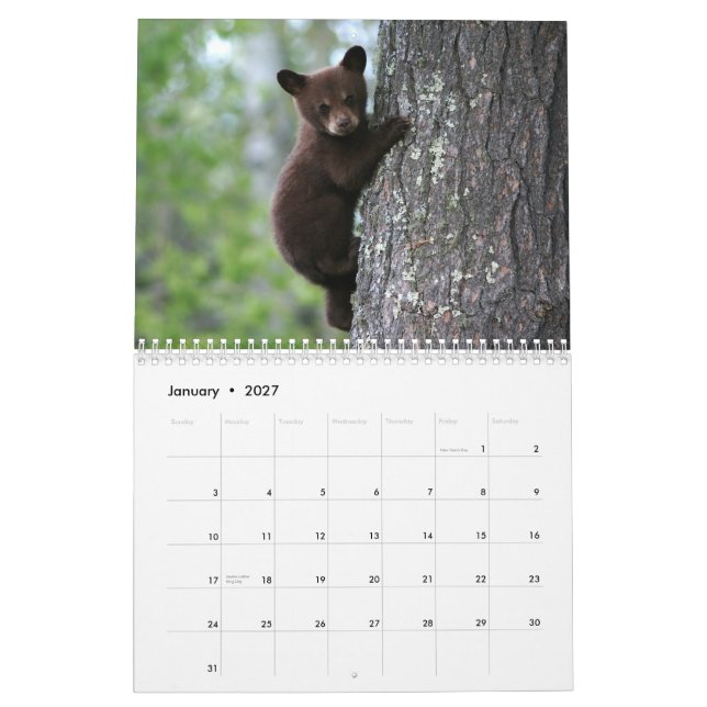 Alaska Wildlife Calendar Kalender (Jan 2027)