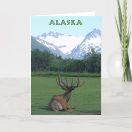 Alaska Wildlife Conservation Centre - kort