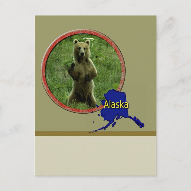Alaska Wildlife Vykort (Framsida)