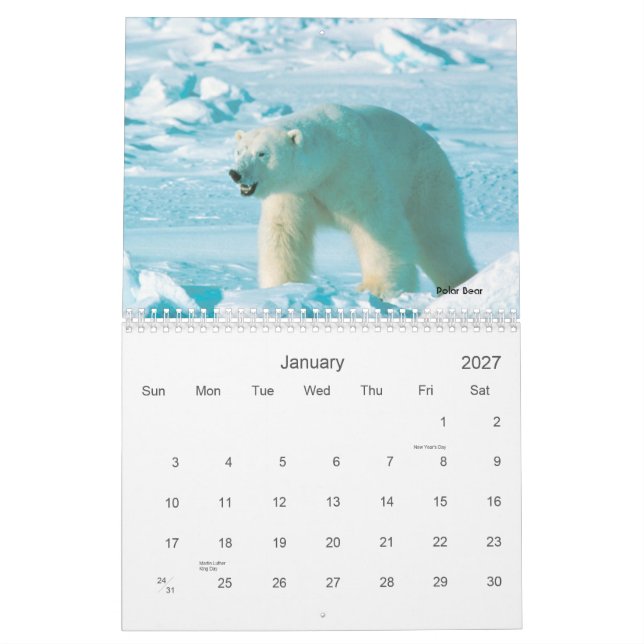 Alaskabo djurlivkalender kalender (Jan 2027)