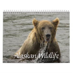Alaskabo djurlivkalender kalender