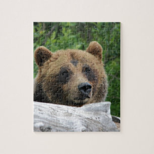 Alaskabo Grizzlybjörn, kodiaken Pussel