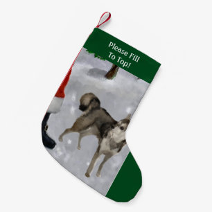 Alaskabo Klee Kai jul Liten Julstrumpa