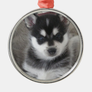 Alaskabo Klee Kai valphund Julgransprydnad Metall