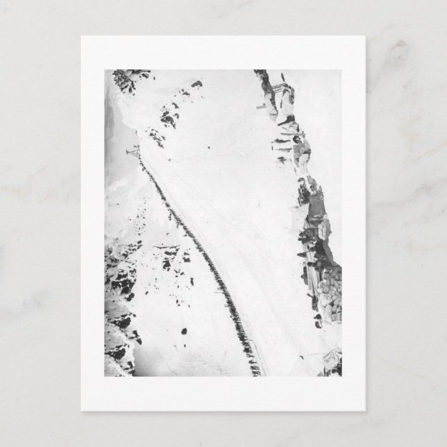 Alaskabo Klondikers Vykort (Framsida)