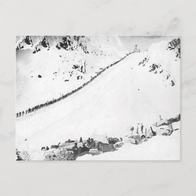 Alaskabo Klondikers Vykort (Framsida)